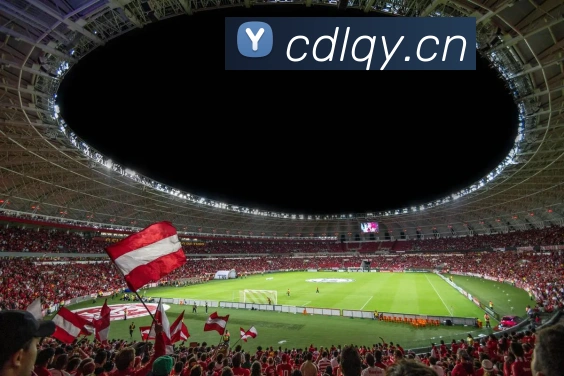 爱游戏官网ayxAPP 封面图